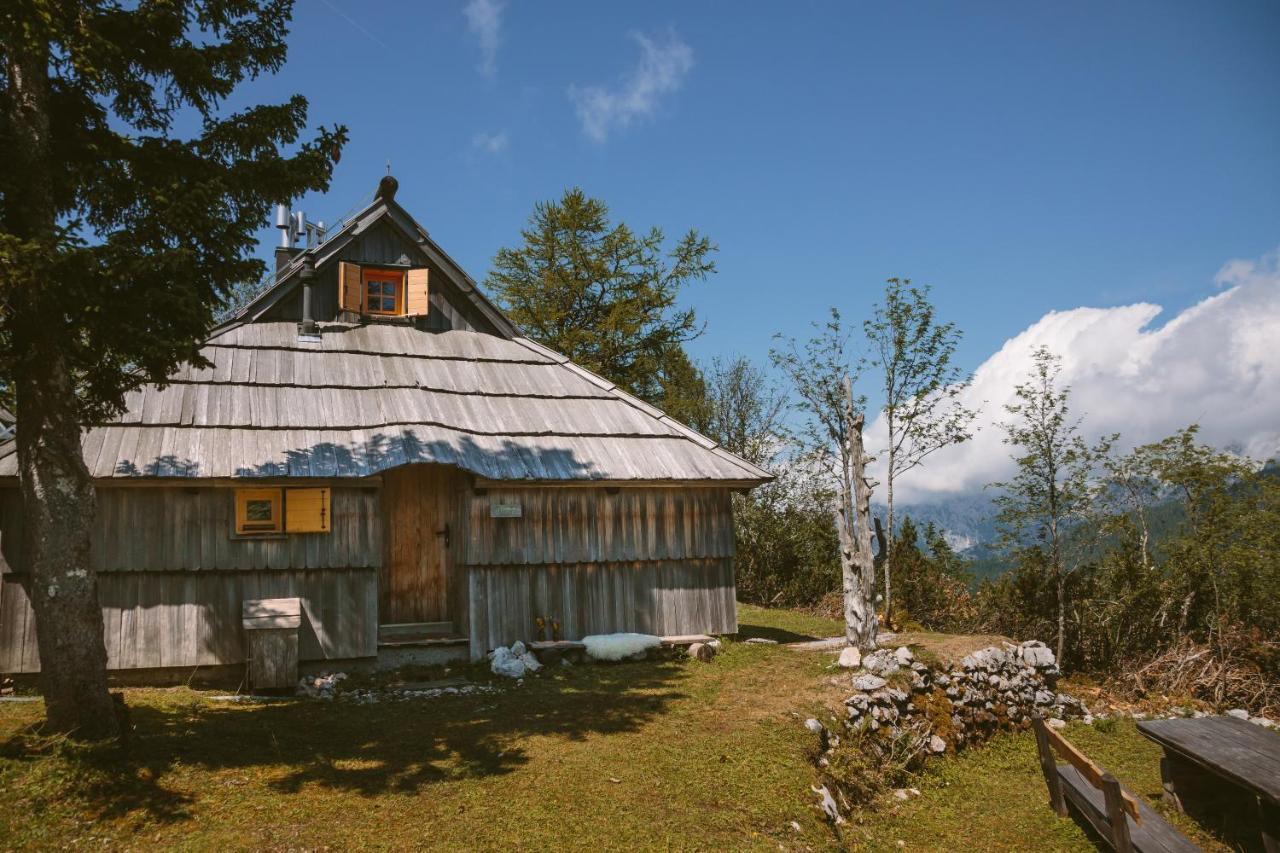 Chalet Orlica Velika Planina *