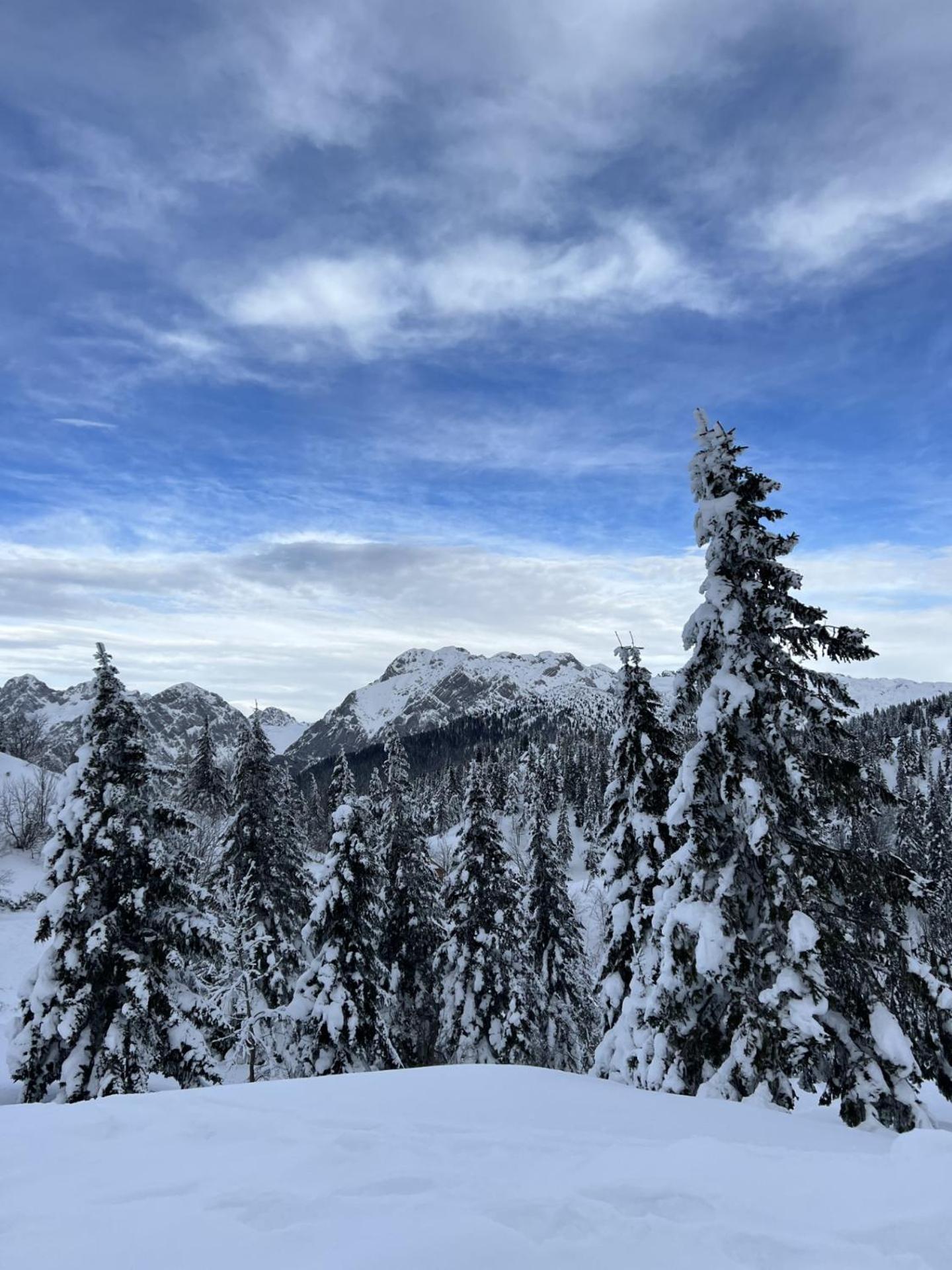 Chalet Orlica Velika Planina